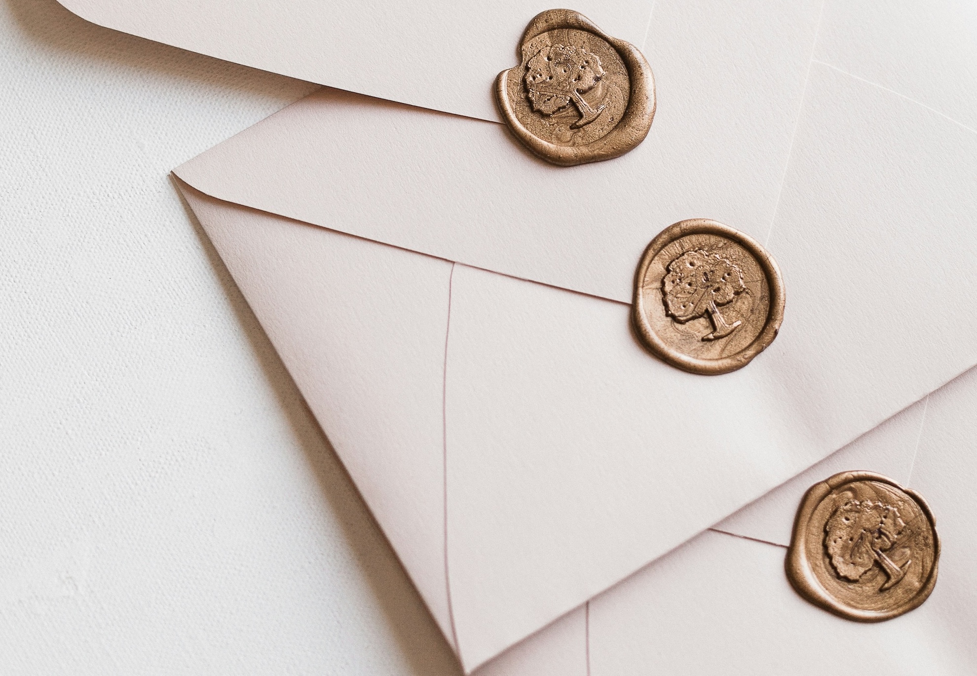 diana-light-z-MLPqVcZa8-unsplash