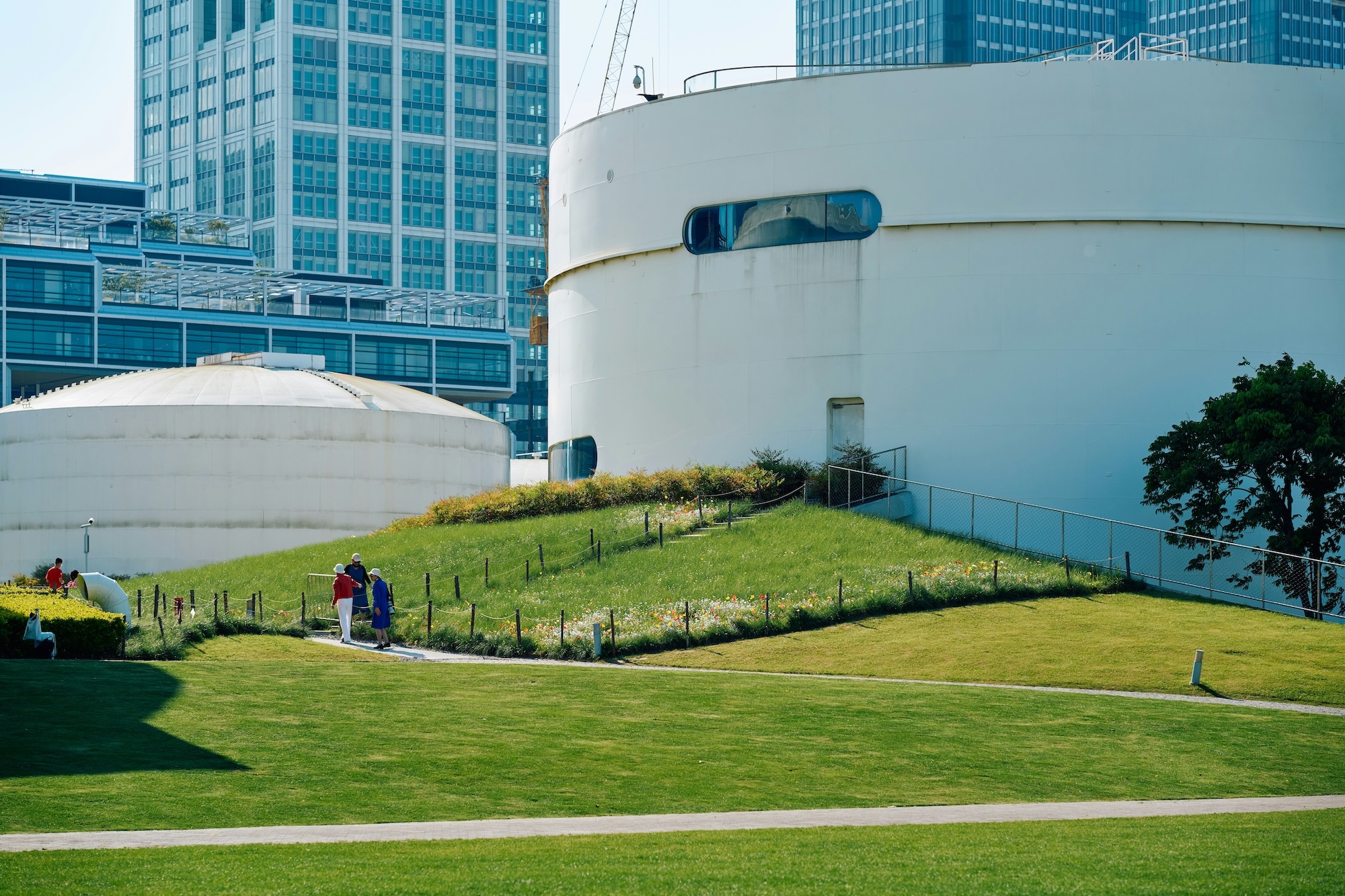 zhiqiang-wang-mVDMaS7L_tw-unsplash